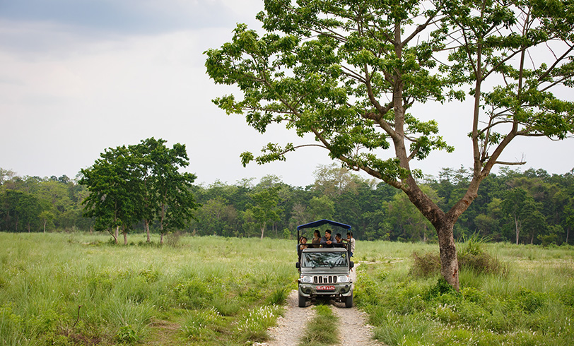 Jeep Safari